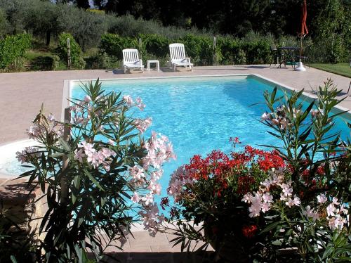 Queen Room with Pool View