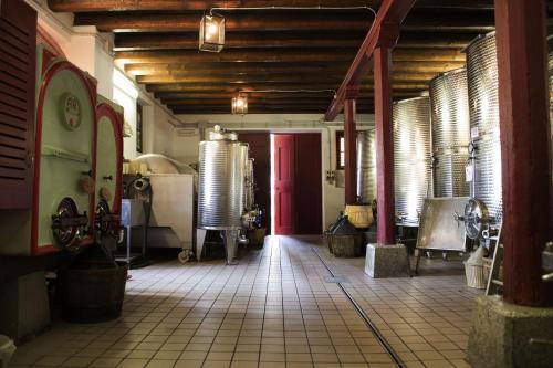 Casali del Picchio - Winery