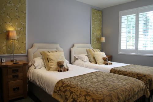 The Salty Monk Bed & Breakfast - main image