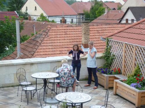 Erzsébet Pince - image 13