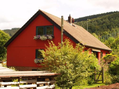 Ferienwohnung An der Innerste - Apartment - Wildemann