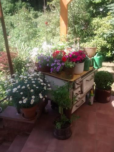 Have, Casa la Collina delle Ginestre in Eberbach