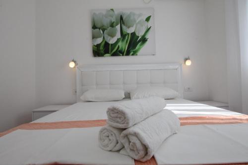 Luxury Apartment Stefan - image 4