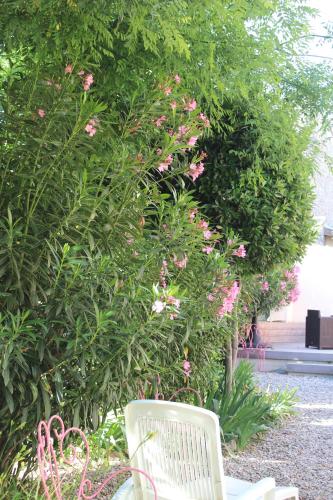 Hotel restaurant MARTINEZ photo 22
