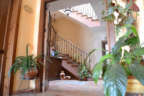 Hostal Toribio - image 6