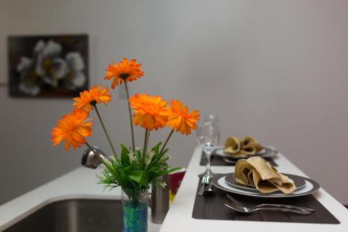 The Suite At Holruth Court In Kingston Jamaica Reviews Prices