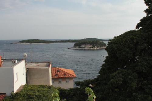 GORAN'S PLACE 4