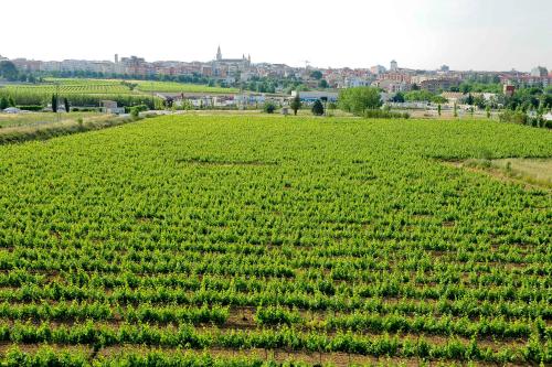 Mastinell Cava & Boutique Hotel by Olivia Hotels Collection - image 2