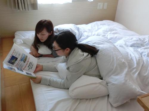 Hotel Green Core Satte