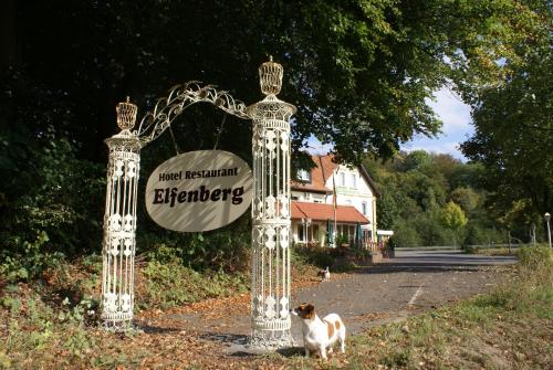 Hotel Elfenberg