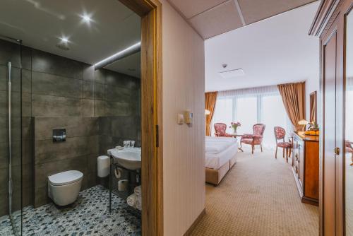 Hotel Paryski Art & Business Zakopane - Basen Jacuzzi Sauna Małpi Gaj, Закопане (фото 11)