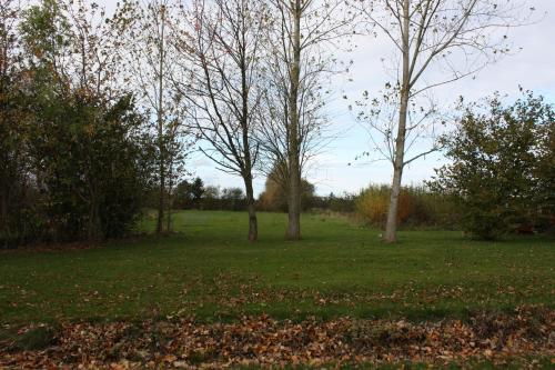 Holmehuset Bed & Breakfast - image 13