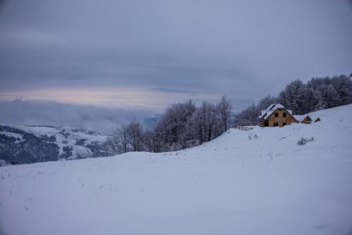 Holiday Home Floris - image 11