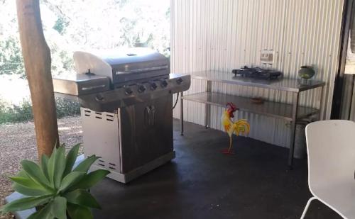 Avoca Beach and Bush