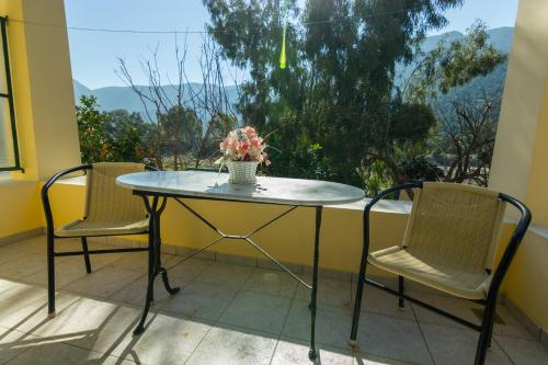 Costa-Rini Hotel - image 3