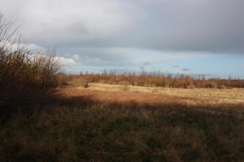 Holmehuset Bed & Breakfast - image 10