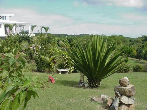 Great Escape and Breakfast Inn - image 7