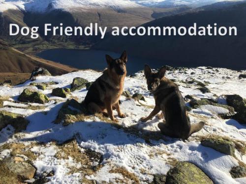 Gosforth Hall Inn - image 10