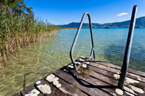 Hotel Haberl - Attersee - image 13
