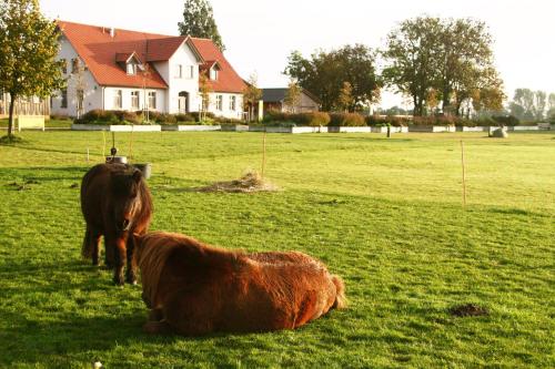 B&B Stahlbrode - Gutshaus Landwert Hof - Bed and Breakfast Stahlbrode