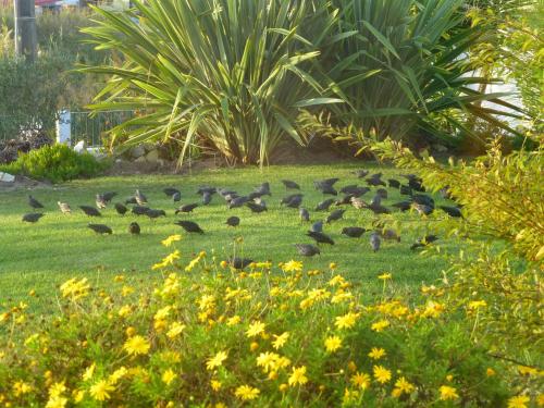  Quinta dos Passarinhos in Caldas da Rainha