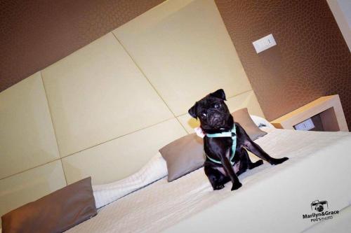 Hotel Principe – Rimini, IN