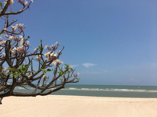 Cha-Am Beach Club ( Cha-Am Beach Club )