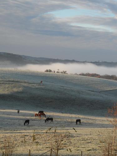  Les chambres du Houmier in Rouvreux