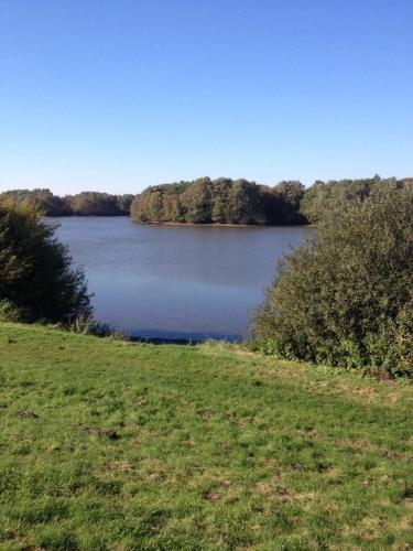 設施, Ferienhaus Strandgut in 加雷爾