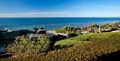 Foto - Cottage Inn by the Sea