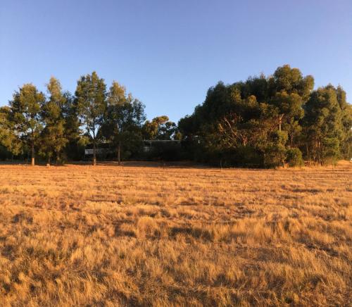 Tegwan's Nest Holiday Home