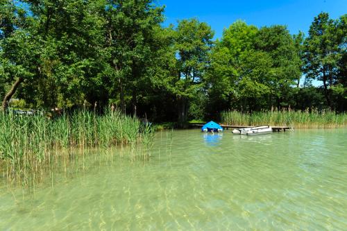 Hotel Haberl - Attersee - image 6