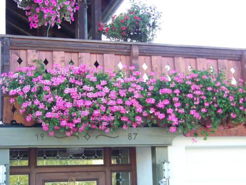 Pension Erna, Zwiesel (photo 5)