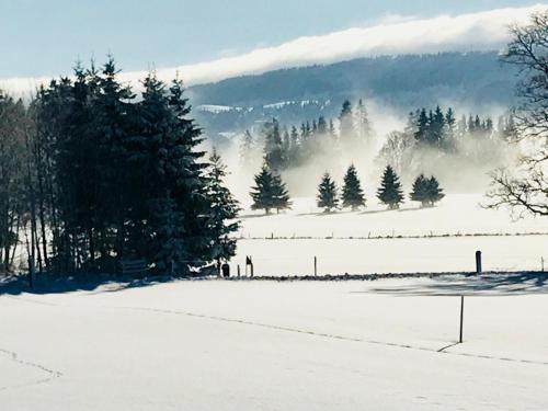 Auberge de l'Assesseur - Mont-Soleil