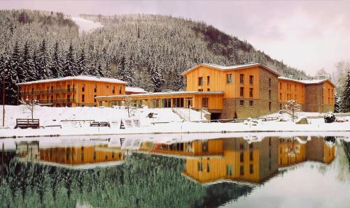 Apartman Medvědín 307