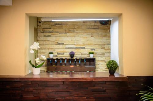 ล็อบบี้, Hotel Sayab 5ta Avenida in พลาย่า เดล ตาร์เมน