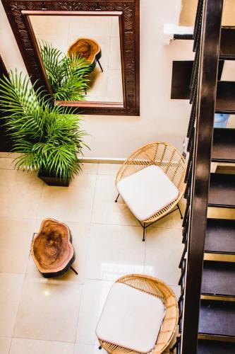 ทัศนียภาพภายนอกโรงแรม, Hotel Sayab 5ta Avenida in พลาย่า เดล ตาร์เมน