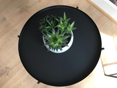 Appartement Premium Le Satie  - image 11