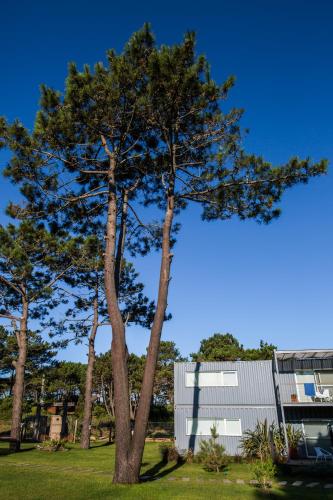 Entre Pinos Eco Box Apart