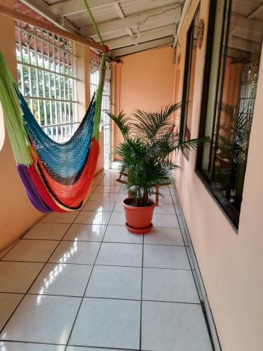 Belis in Alajuela