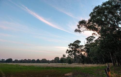 Byronsvale Vineyard and Accommodation