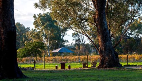 Byronsvale Vineyard and Accommodation