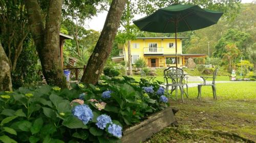 Hemerocallis Country House - Xuancao Forest Homestay - 숙소 외관
