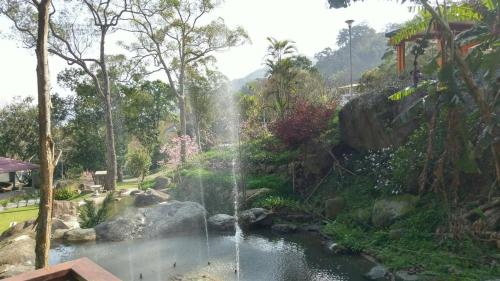 Hemerocallis Country House - Xuancao Forest Homestay - 숙소 외관