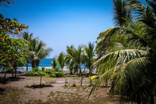 Miguel Surf Camp in Quepos