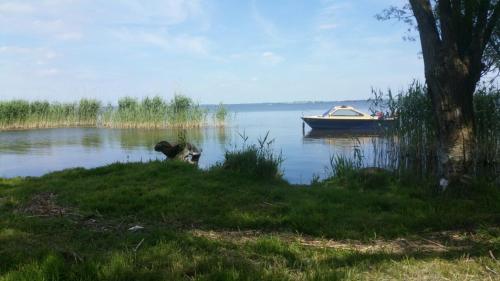 Ferienwohnung Röbel/Müritz in Röbel, Deutschland