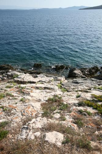 Hotel Sali - image 10
