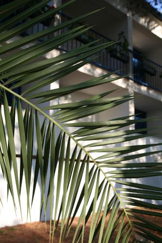 Hotel Sali - image 7