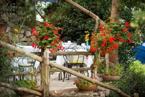 Agriturismo Fattoria Terranova - image 5