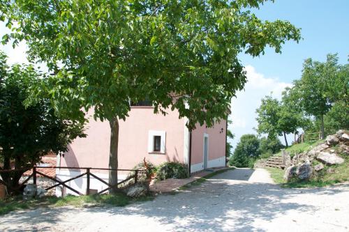 Fattoria Alvaneta